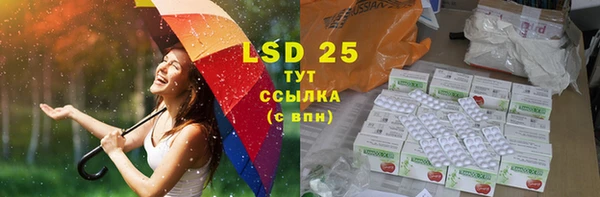 индика Нефтекумск