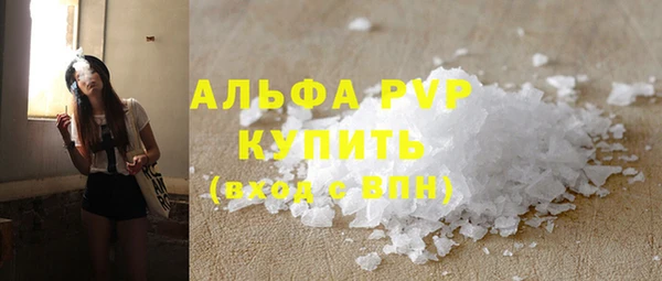 индика Нефтекумск