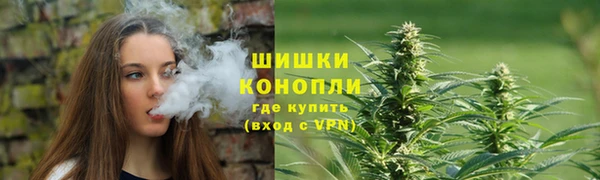 индика Нефтекумск