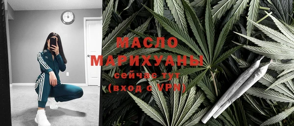 индика Нефтекумск