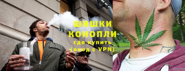индика Нефтекумск