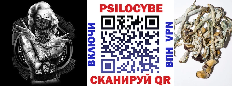 мега tor  наркошоп  shop состав  Псилоцибиновые грибы Psilocybe  Лихославль 